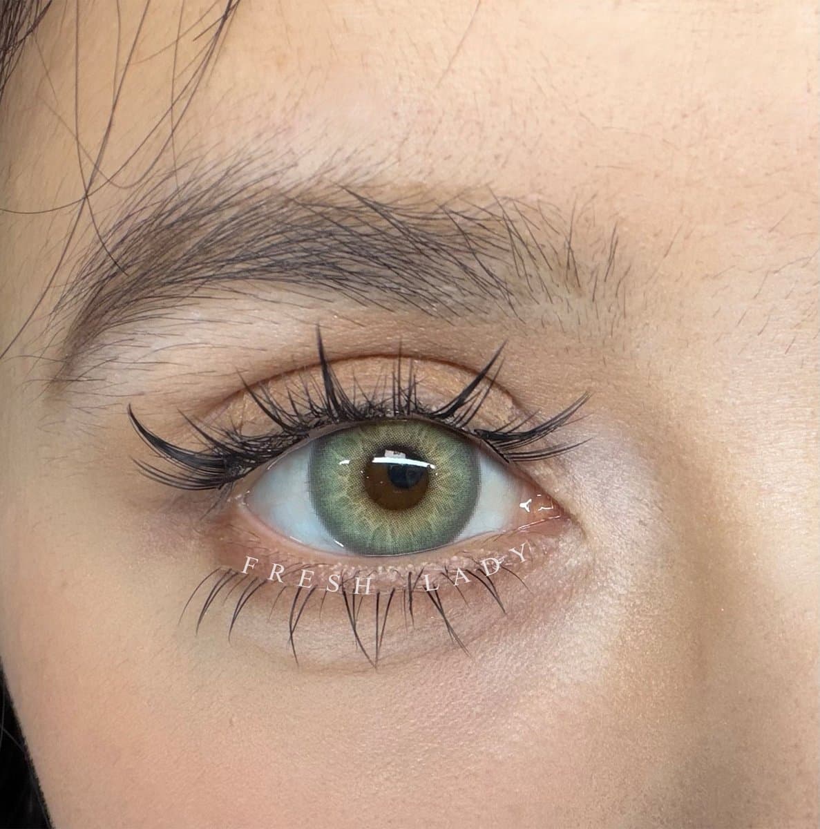 FA76-2 Wildwood Eyes Green