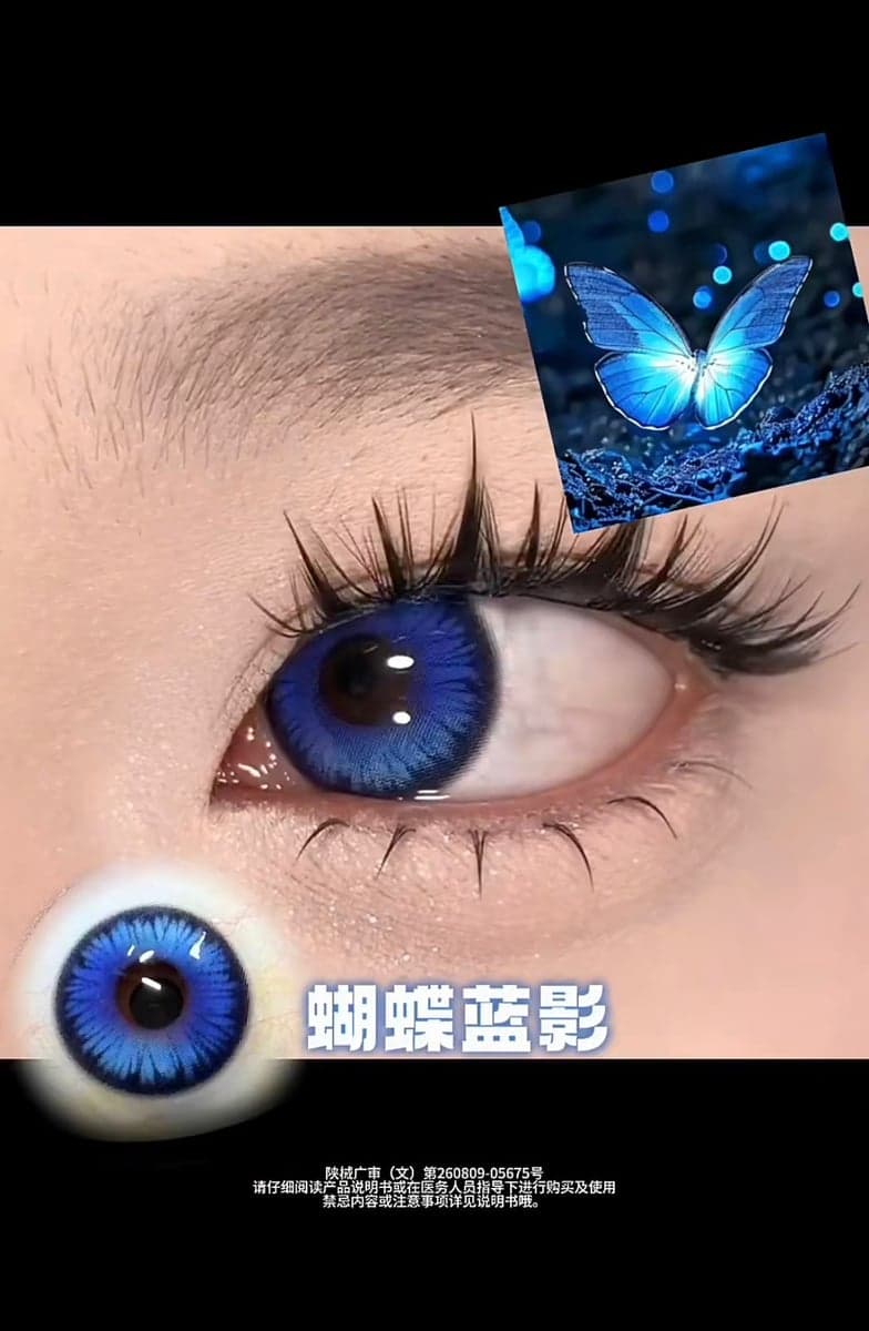 Butterfly Blue Shadow
